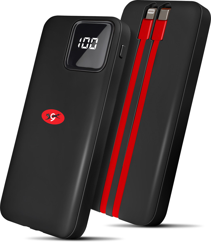 EVEREADY 10000 mAh Power Bank(Silver, Lithium-ion, for Mobile)