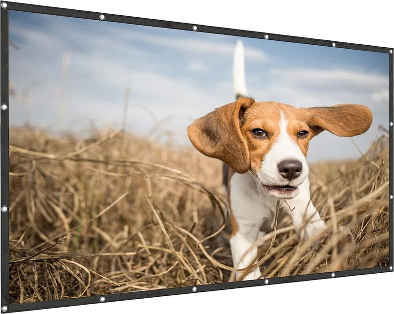 dev lite screens eye100In-87x54 Projector Screen (Width 221 cm x 125 cm Height)