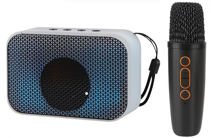 BASS BLING Wireless Karaoke Mic with Bluetooth Speaker, 4Hrs Playtime, RGB Lights Home Party, Traveling Speaker With Mic Indoor, Outdoor PA System(100 W)