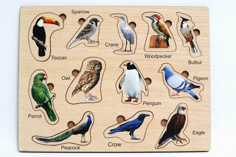 Craftick Birds Wooden Educational Tangled Brain Teaser Puzzle for Kids(12 Pieces)