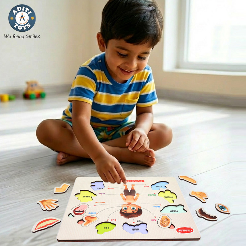 Aditi Toys Wooden Human Body Parts Puzzle With Picture Educational 10 Piece(10 Pieces)