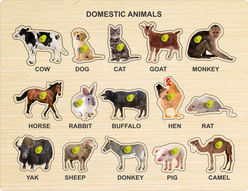 MECDOIT INTERNATIONAL Wooden Puzzle of Domestic Animal Name, Image with Color for Kids Education(16 Pieces)