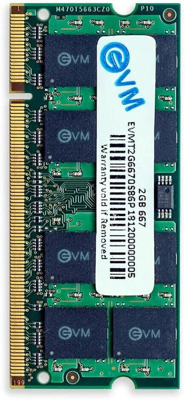 EVM Laptop RAM DDR2 2 GB Laptop DDR2 (EVMT2G8000S86P)(Black)