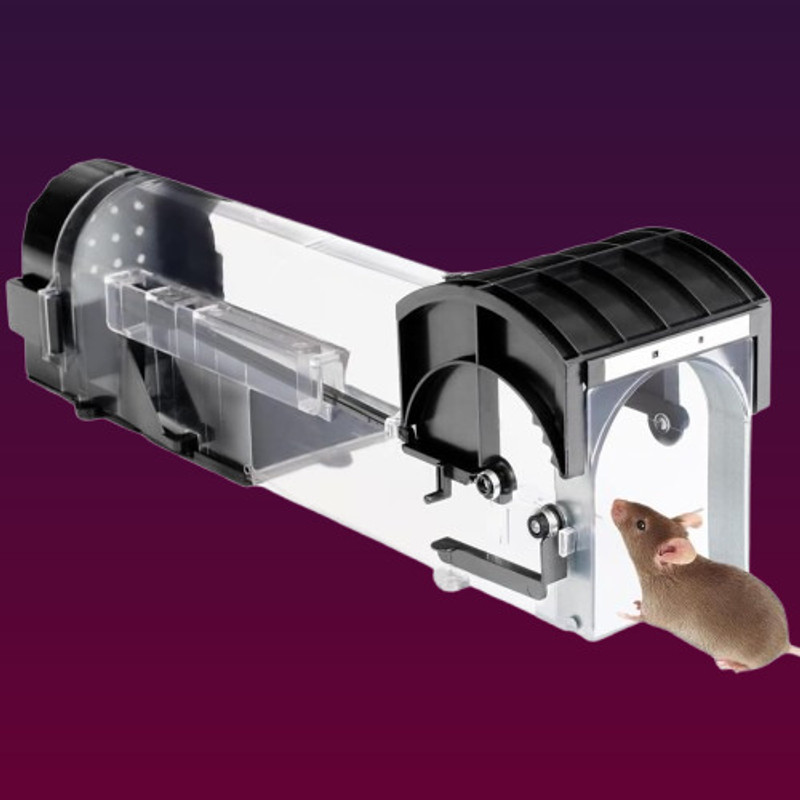 Rynxon MTB568 Live Trap
