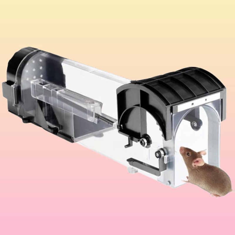 Kryvis MTB305 Live Trap