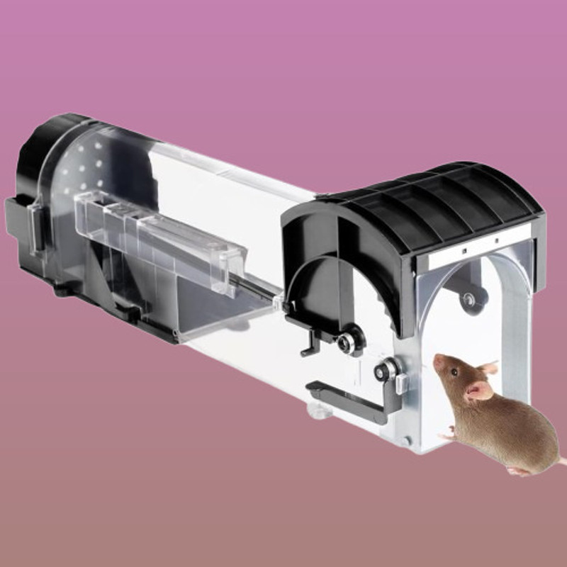 Stravyn MTB598 Live Trap