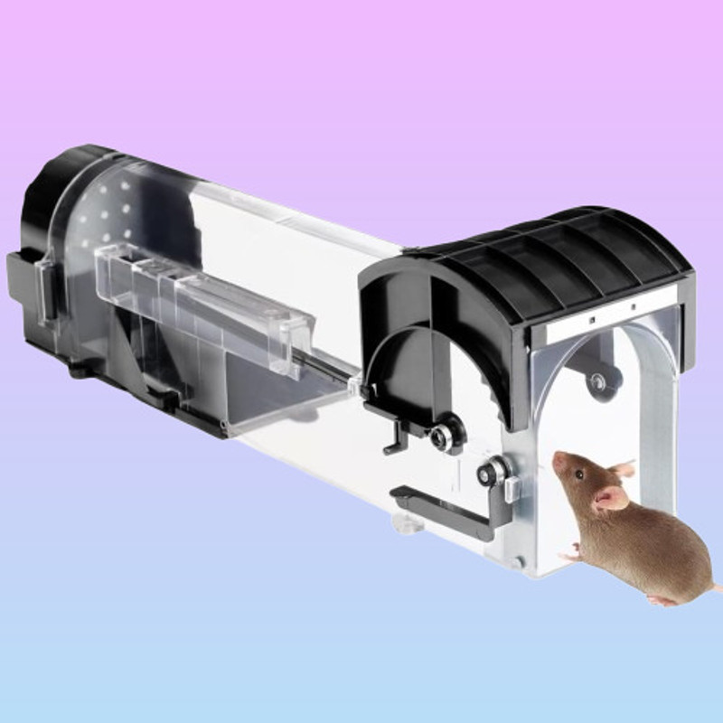 Wyrqawu MTB910 Live Trap