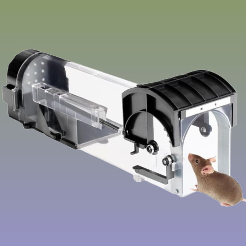 Quivix MTB546 Live Trap