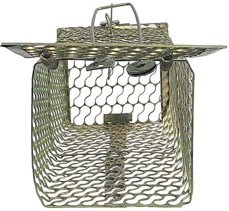 udayog BURFI Rat Trap - Rat/Mouse/Rodent Small Iron Trap/Catcher Cage (PACK OF 2) Live Trap