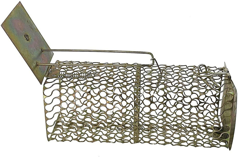 Rajdhani Rat Trap, Strong Iron Cage Mouse Trape for Rat Catch Live Trap
