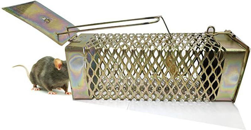PVX1 Rat Trap Cage, Rodent Control, Pinjra for Rat, Mouse Live Trap