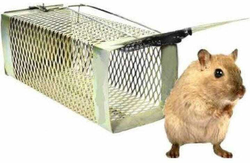 Goods collection rat trap medium Live Trap