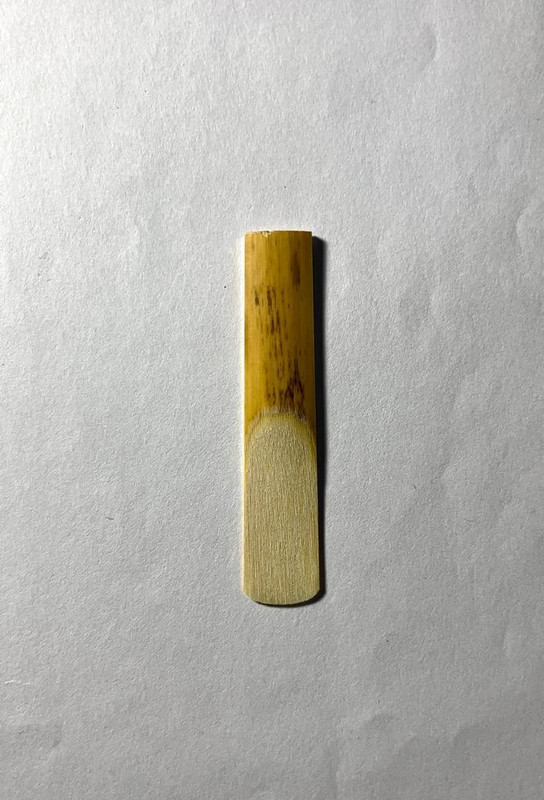 Rmze (Pack of 10) Clarinet Reed