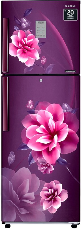 SAMSUNG 236 L Frost Free Double Door 2 Star Refrigerator  (Camellia Purple, RT28C3922CR/HL)