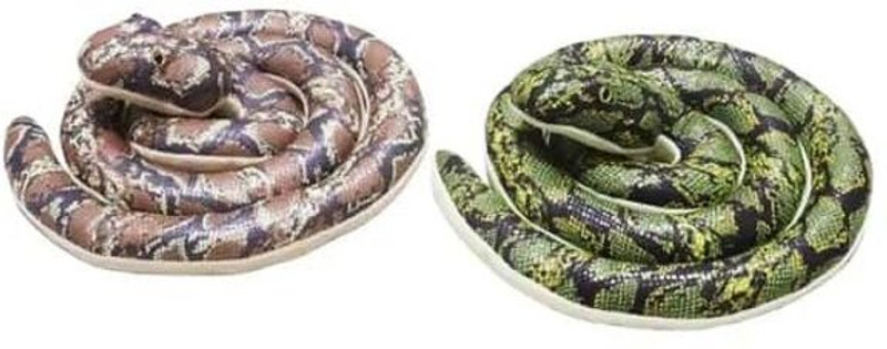 VACHASYA Wild King Cobra Set 2 PICS