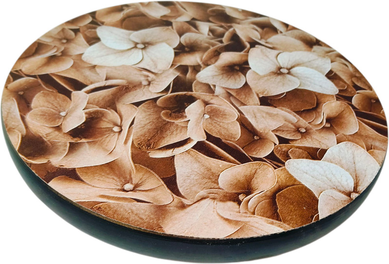 Ilmexa Board(Pack of 1)