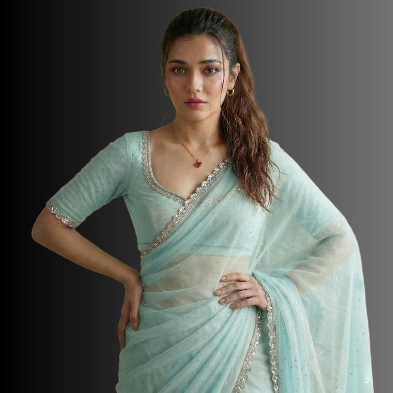 ELITERATI FASHION Self Design Bollywood Net Saree(Light Blue)