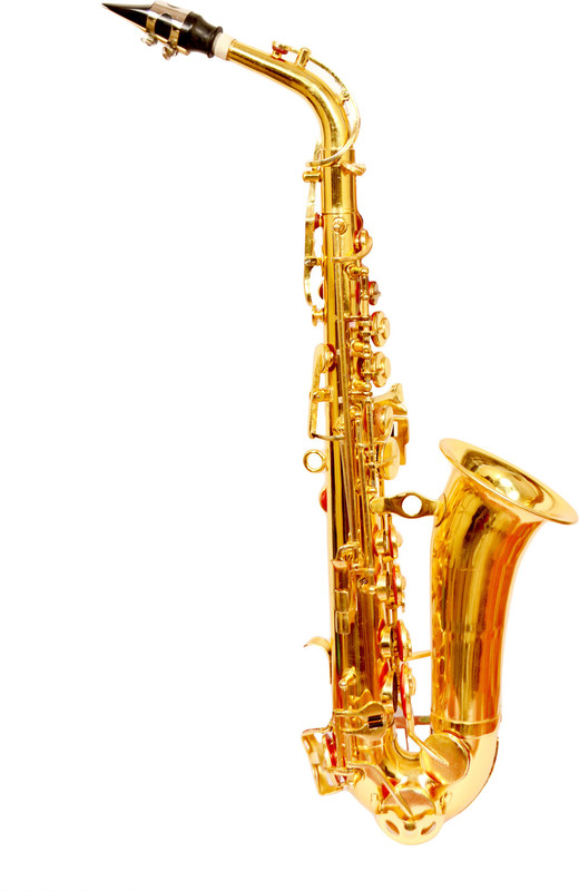 SKYLARK INTERNATIONAL SKYSXPHN SKYSXPHN Alto Saxophone(BRASS POLISH, Sax Case Included)