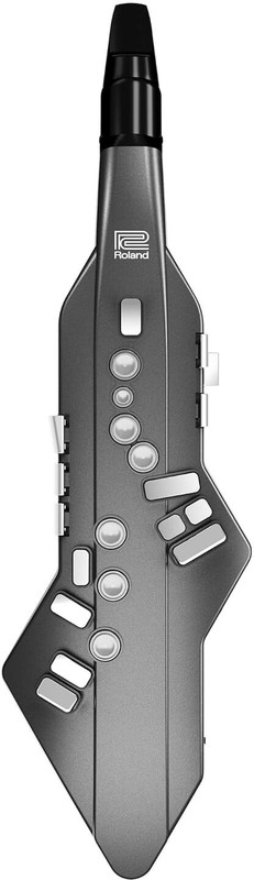 Roland Aerophone GO Digital Wind Instrument, Graphite AE-05 Alto Saxophone(Graphite)