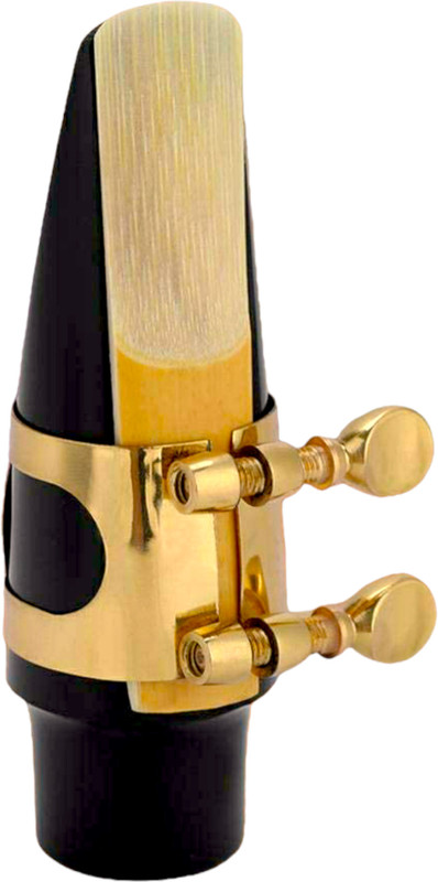 Battle Beast Premium Quality Musical Instrument Accessories Saxophone Mouthpiece Golden Polish with Cap Ligature and Reeds Alto Saxophone(Golden)