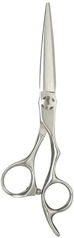 DELUXE Professional 6.5-Inch Hair Cutting Scissors - Stainless Steel (Silver) Scissors(Set of 1, Silver)