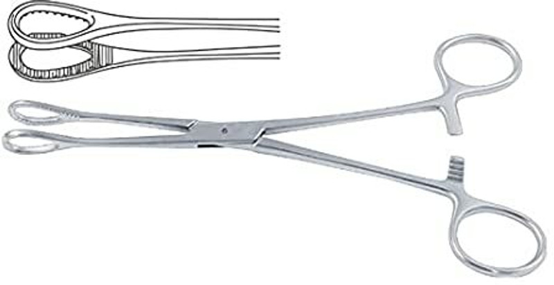 SANJU Khushi Surgical sponge holding forcep (8 INCH) Surgical Instrument, Medical Scissors(Set of 1, Silver)