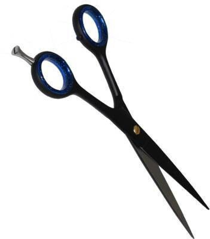 Dhanishka 6.5 Barber Salon Hair Cutting Scissors ( Pack of 1) Scissors(Set of 1, Black)