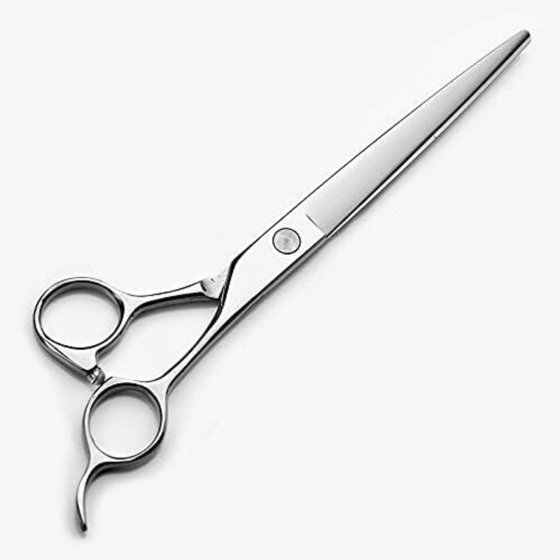 DELUXE Professional 6.5-Inch Hair Cutting Scissor (Silver) Scissors(Set of 1, Silver)