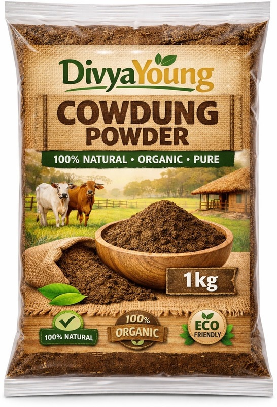 DIVYAYOUNG DUNG0018 Earthenware Cracker(Brown Pack of 2)