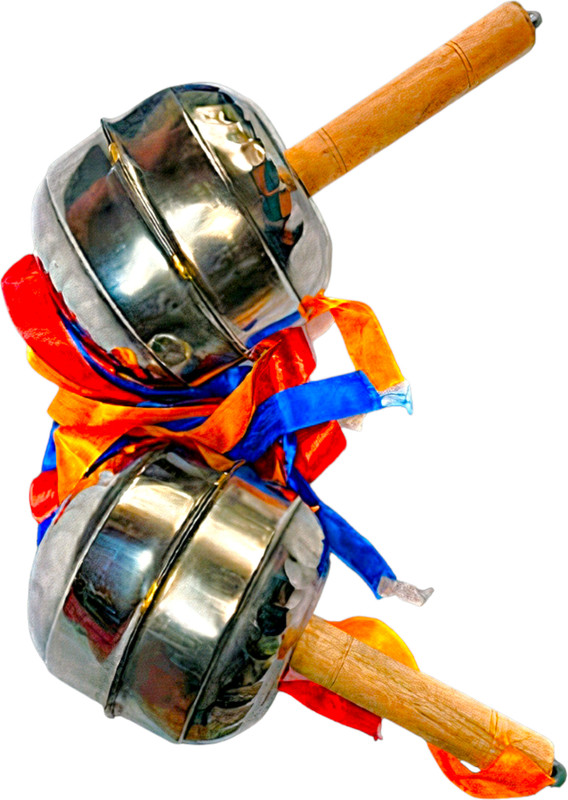 Mayur Musical Maracas Steel with Colourfull Ribbons Superior Quality Combo Set Shaker Percussion(Pack of 2)