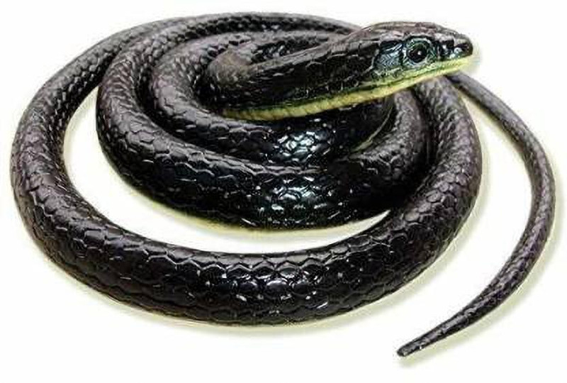 BBS DEAL Rubber Snakes Prank Toy & Gifts(Black)