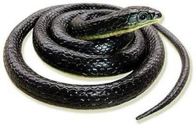 Radha Collection Rubber Snakes Toy(Multicolor)