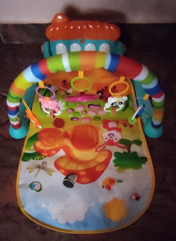 BHVMEY Padded Baby Mat with Music Arch & Detachable Toy Set(Multicolor)