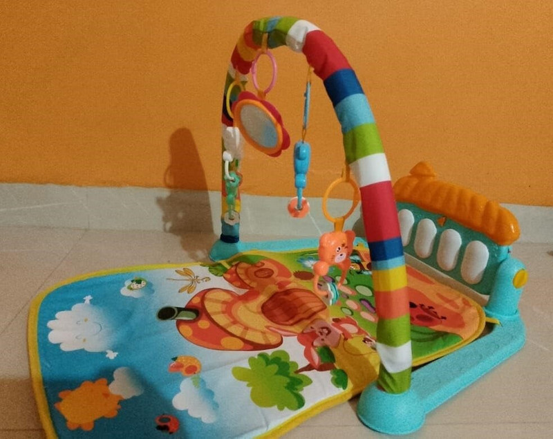 Nafhotoz Baby Mat Gym for Learning, Sensory Development & Floor Play(Multicolor)