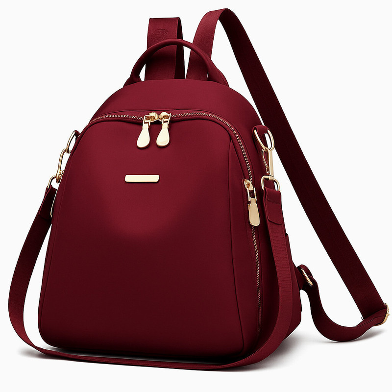 Evara Maroon_Multi Pocket 22 L Backpack(Maroon)