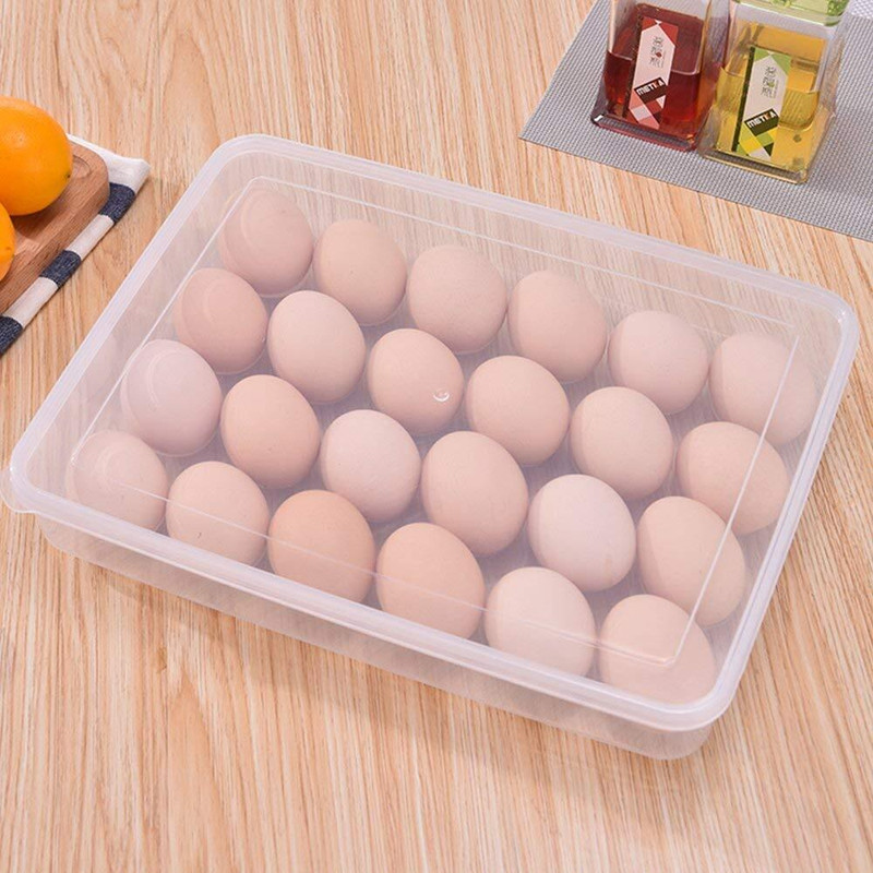JYNEX 24 Grid Egg Storage Box Egg Refrigerator Storage Tray, Plastic Egg Containers Plastic Egg Separator(White, Pack of 1)