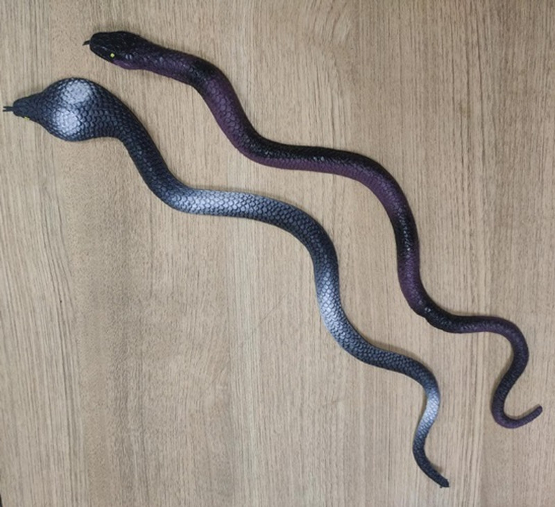 VEDY realistic snake toys kids (pack of 2) gang toys Gag Toy(Black)