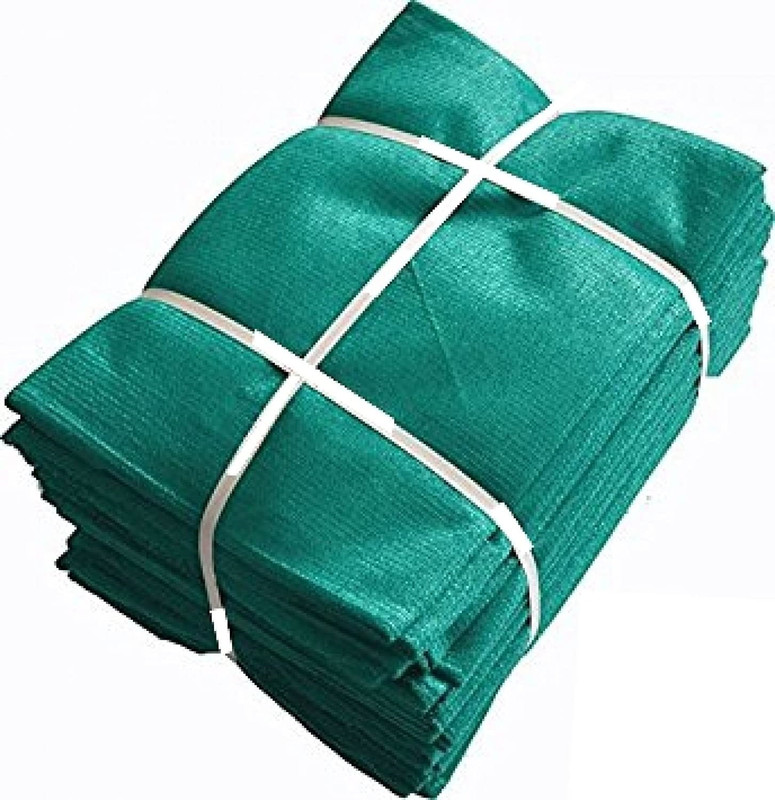 well art gallery 10*8 Insect Net