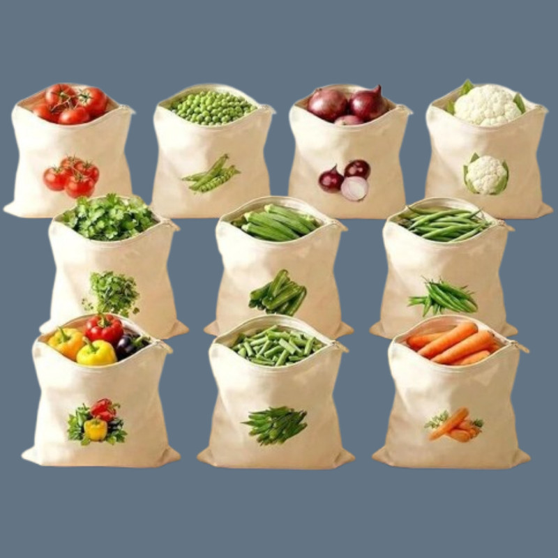 Dwiti Enterprise Pack of 10 Grocery Bags(White)