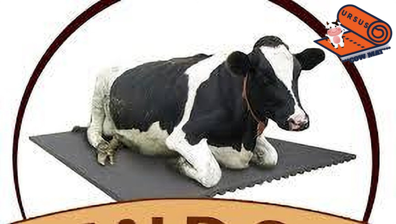 Ursus Mat for Cows, Buffalo, Bull, Rubber Mat for Animal (Premium, Black) XL Pet Bed(Black)