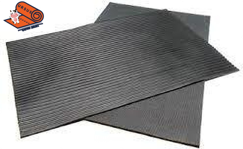 Ursus Cow Mat, Feeding Mat, Buffalo, Bull, (Premium, Black) XL Pet Bed(Black)
