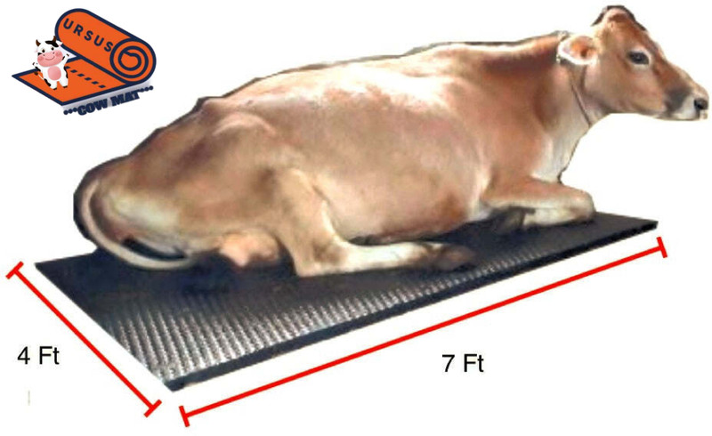 Ursus Cow mat Premium Black Cow Pet Mat XL Pet Bed(Black)