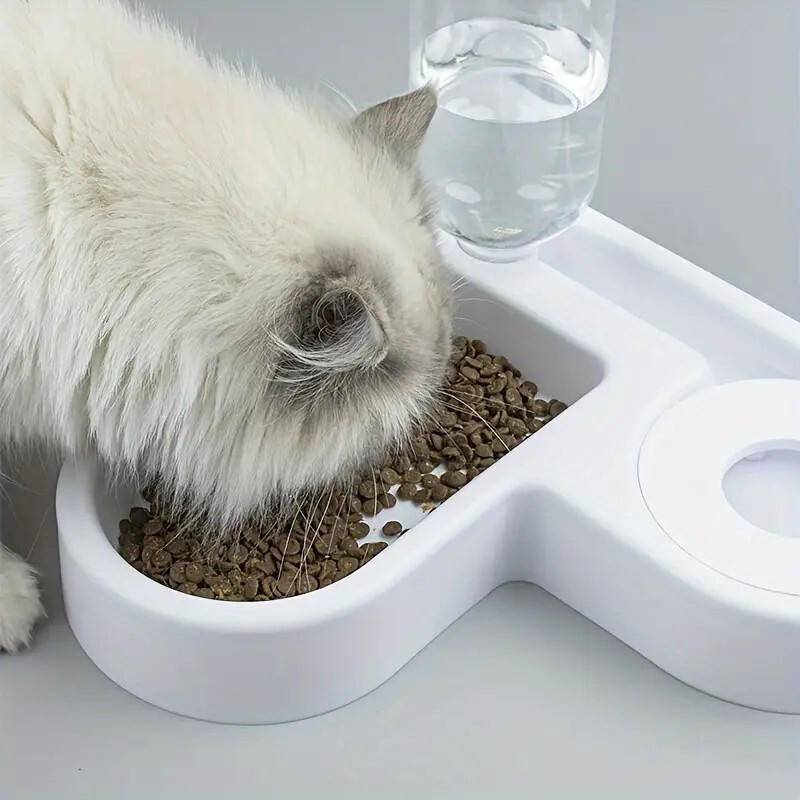 ShipFayda 2 in1 Pet Feeder Food and Water Dispenser Plastic Pet Bowl & Bottle(500 ml Multicolor)