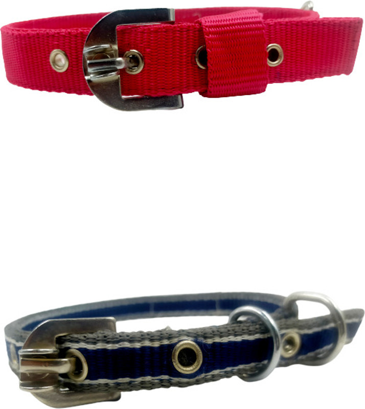 Petlia Petlia Collar Nylon Dog belt best strong quality Small adjustable combo pack 2 Plain Dog Collar Charm(Blue, Multicolor, Other)
