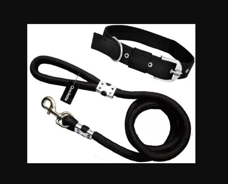 chullbull pet products Dog & Cat Collar & Leash(Small, BLACK)