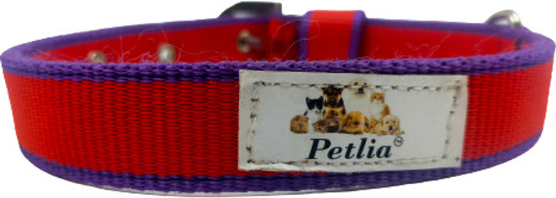 Petlia Embellished Dog Collar Charm(Green, Other)