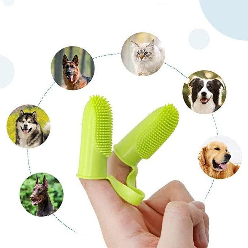 PetJoy Teeth Cleaning Soft Bristles for Easy Dental Care Toothbrush for Dogs & Cats Pet Toothbrush(dog, cat)