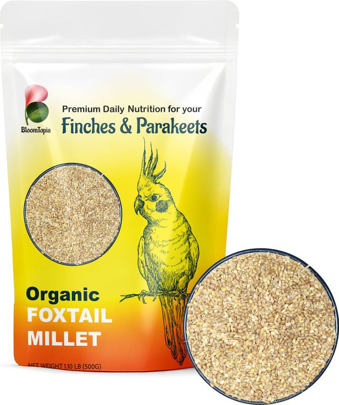 BloomTopia BloomTopia Premium Foxtail Millet (Kangni) Bird Food | Organic 0.5 kg Dry All Life Stages Bird Food