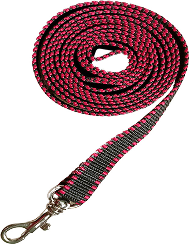FashCore 360 Degree Rotation Snap Hook Nylon Webbing 0.50" Wide 182.8 cm Dog & Cat Strap Leash(Red, Black)