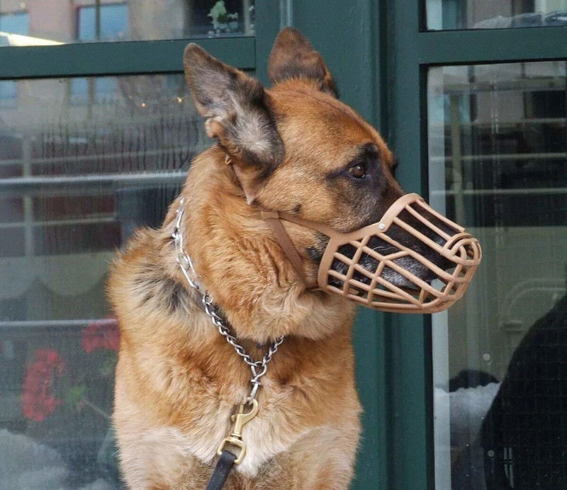 Petlia 5 NO Dogs Mouth Cover muzzles Anti-Biting Soft Plastic Dog Muzzle Dog Mouth Cap Large Strips Dog Muzzle(Beige)